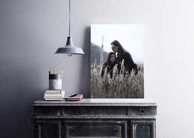 Фотокартина на холсте 30х40см «Двое в поле» — фото