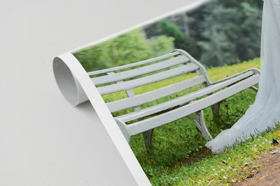 Фотокартина на холсте 50х80см «Молодожены в березовой роще» — фото