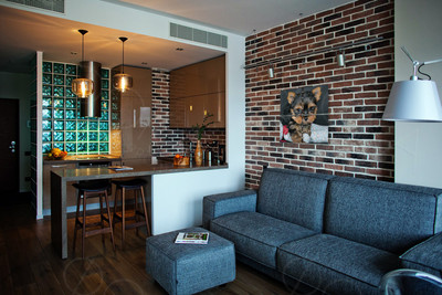 Модульная картина на холсте 40х40см «Собака с шаром» — фото