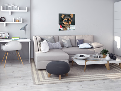 Модульная картина на холсте 40х40см «Собака с шаром» — фото