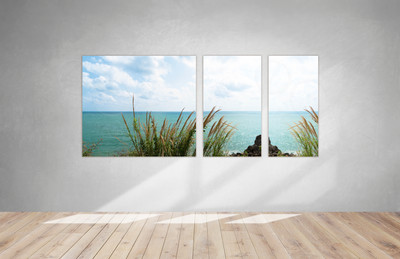 Модульные картины на холсте 3шт. «Камыш и море» — фото