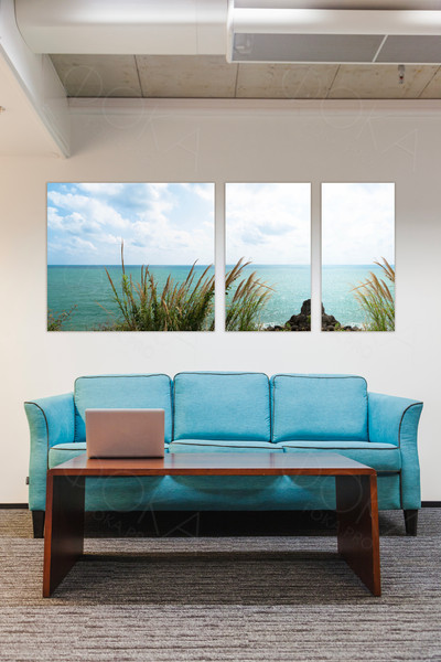 Модульные картины на холсте 3шт. «Камыш и море» — фото