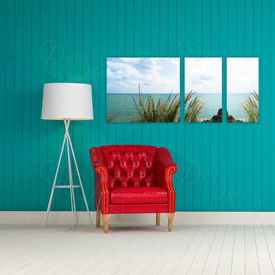 Модульные картины на холсте 3шт. «Камыш и море» — фото