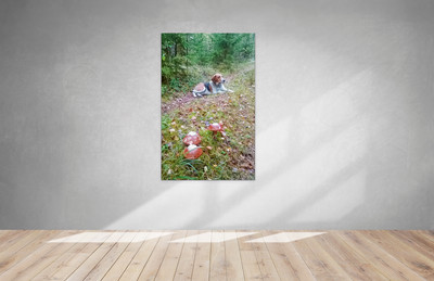 Фотокартина на холсте 30х50см «Собака и три гриба» — фото