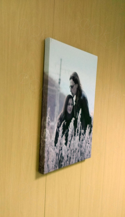 Фотокартина на холсте 30х40см «Двое в поле» — фото