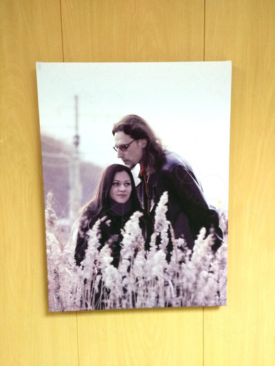 Фотокартина на холсте 30х40см «Двое в поле» — фото