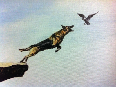 Фотокартина на холсте 30х30см «Овчарка и птица» — фото