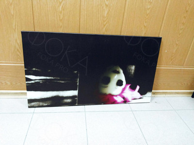 Фотокартина на холсте 80х45см «Megumi (Shiki)» — фото