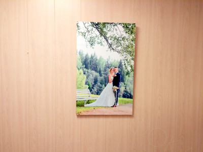 Фотокартина на холсте 50х80см «Молодожены в березовой роще» — фото