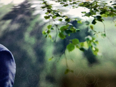 Фотокартина на холсте 50х80см «Молодожены в березовой роще» — фото