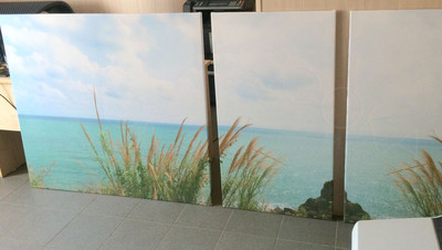 Модульные картины на холсте 3шт. «Камыш и море» — фото