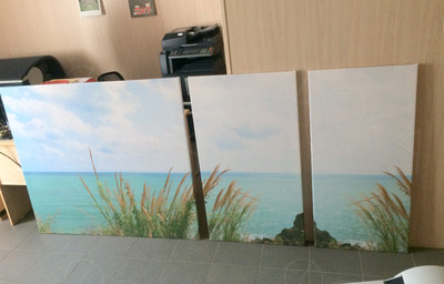 Модульные картины на холсте 3шт. «Камыш и море» — фото