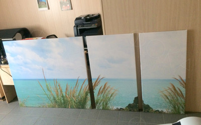 Модульные картины на холсте 3шт. «Камыш и море» — фото