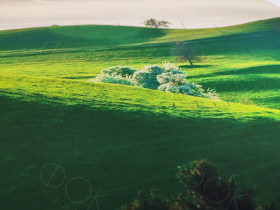 Модульные картина на холсте 4 шт. 52х112см «Зеленые горы» — фото