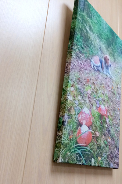 Фотокартина на холсте 30х50см «Собака и три гриба» — фото