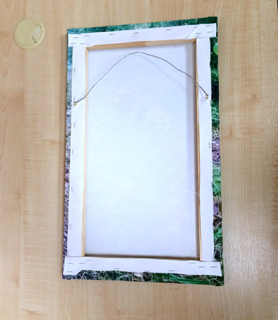 Фотокартина на холсте 30х50см «Собака и три гриба» — фото