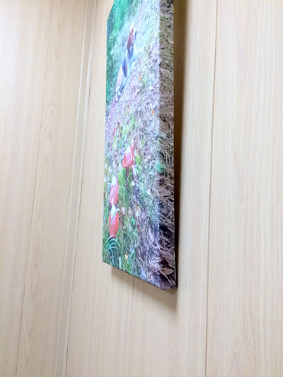 Фотокартина на холсте 30х50см «Собака и три гриба» — фото