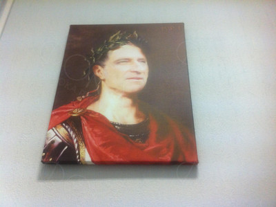 Фотокартина-монтаж на холсте 40х50см «Цезарь» — фото