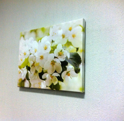 Фотокартины на холстах 40х30см «Цветы белые» — фото