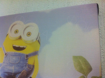 Фотокартина на холсте 40х50см «Девушка с миньонами» — фото